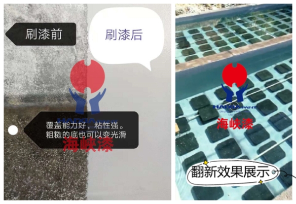 “鲍”发力十足,海峡漆贝类养殖漆助力水产提升效益 “鲍”发力十足,海峡漆贝类养殖漆助力水产提升效益