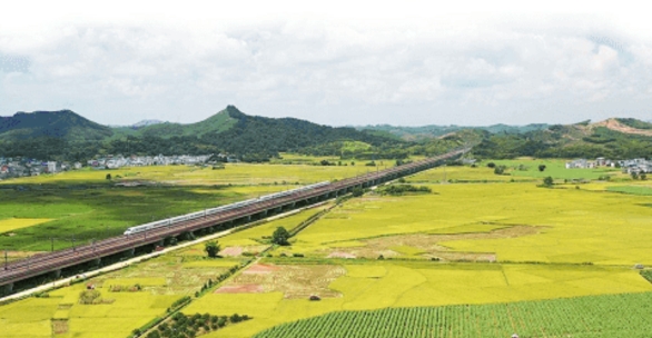 古辣香米：让人越吃越爱的米中瑰宝