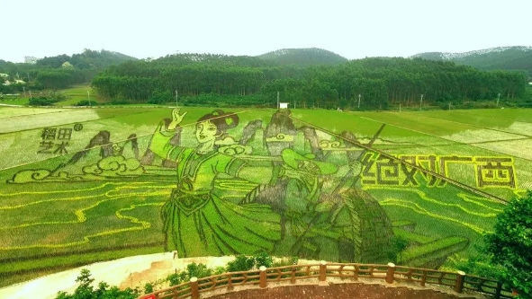 古辣香米：让人越吃越爱的米中瑰宝