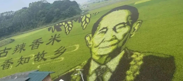 古辣香米：让人越吃越爱的米中瑰宝