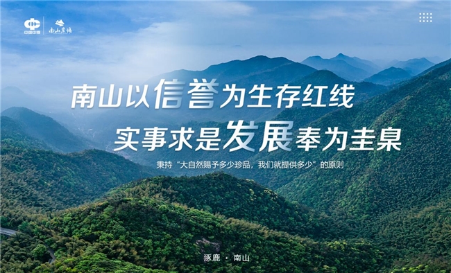 中煤帮扶点亮南山,产业赋能振兴乡村 中煤帮扶点亮南山,产业赋能振兴乡村