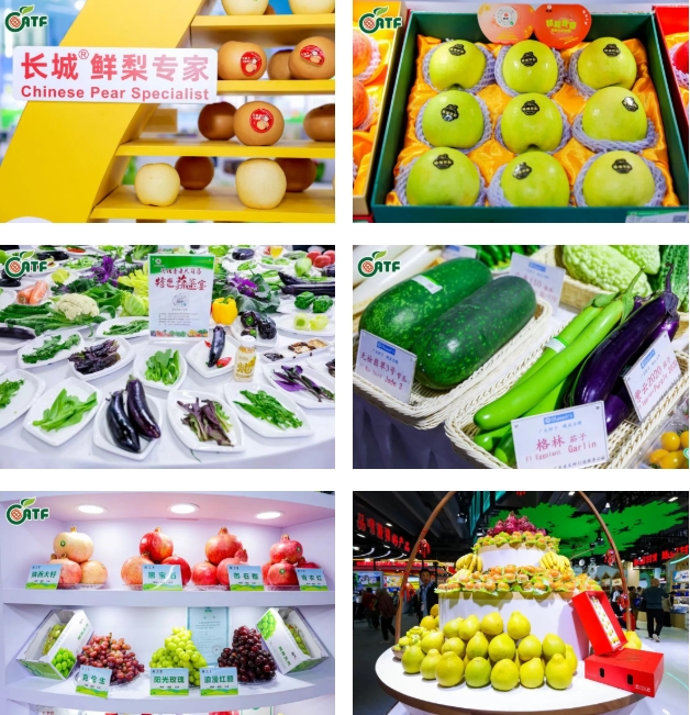 找源头产品、寻超级新品、采全球爆品就来第二十二届农交会! 找源头产品、寻超级新品、采全球爆品就来第二十二届农交会!
