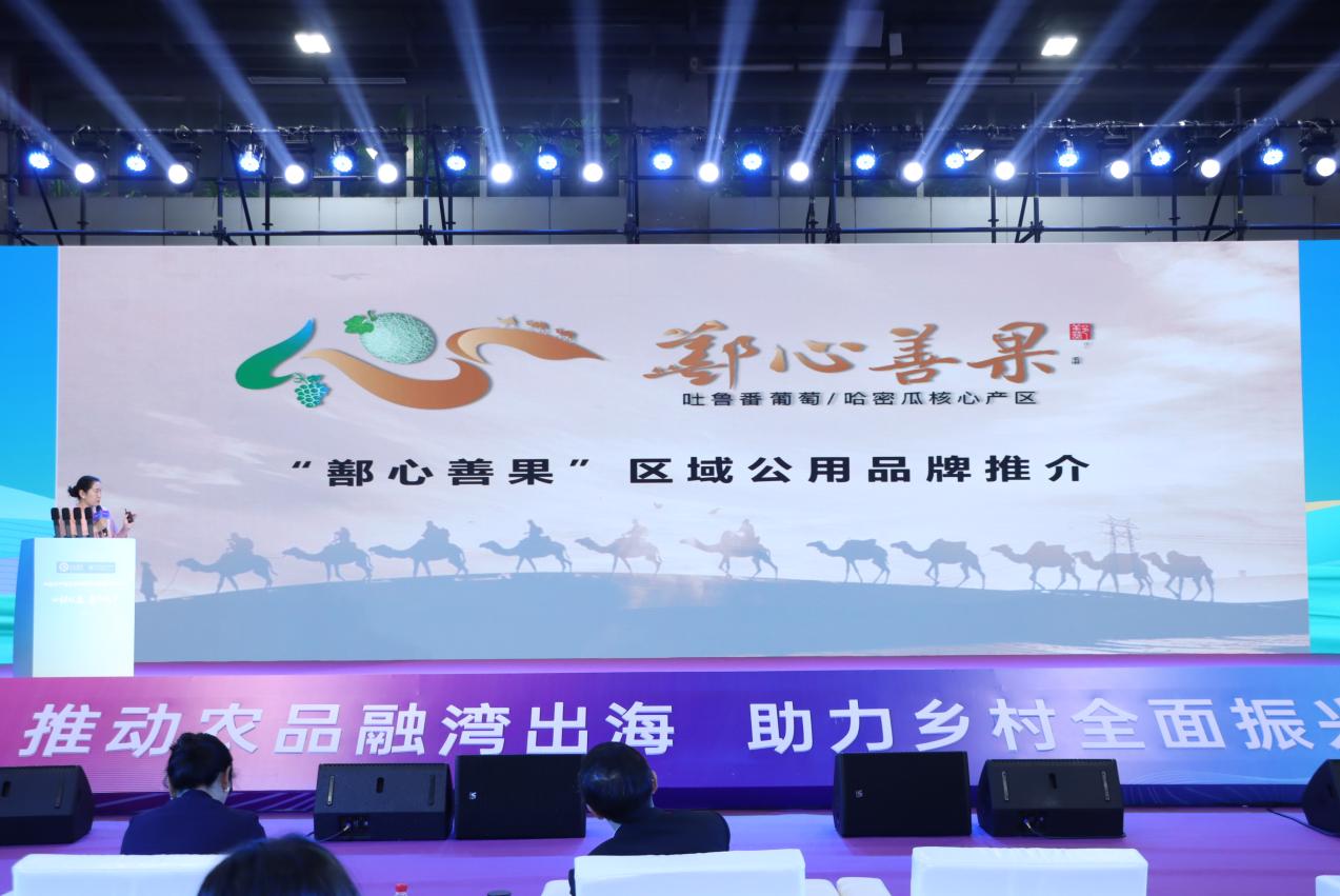 从吐鲁番盆地到珠江三角洲，鄯善县“甜蜜产业 ”赴湾区之约