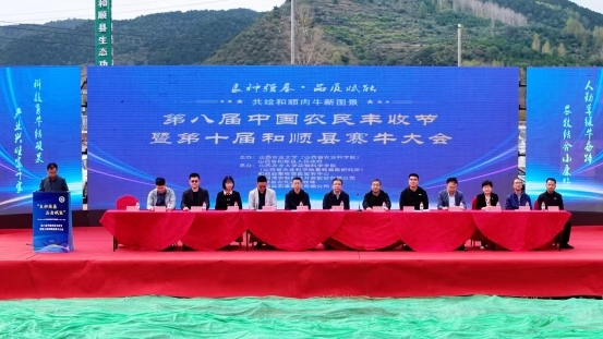 和顺肉牛：以生态为基  谱写乡村振兴