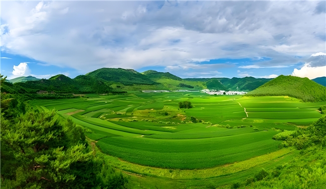 红参哪个品牌正宗？产地溯源认证：长白山核心产区红参品牌的地理标志与正宗性关联