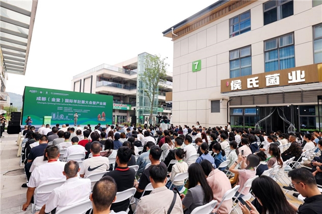 从金堂走向世界!成都(金堂)国际羊肚菌大会启幕,ISO国际标准研制正式启动 从金堂走向世界!成都(金堂)国际羊肚菌大会启幕,ISO国际标准研制正式启动