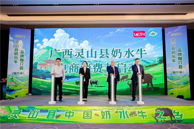 2024年灵山县奶水牛品牌推介会在哈举办