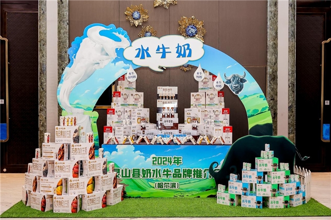 2024年灵山县奶水牛品牌推介会在哈举办