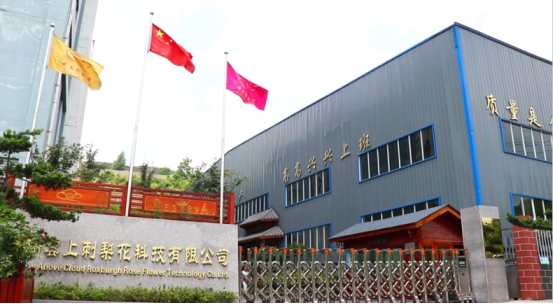 ​引领健康饮品新风尚 贵州云上刺梨花邀您共创合作新篇章