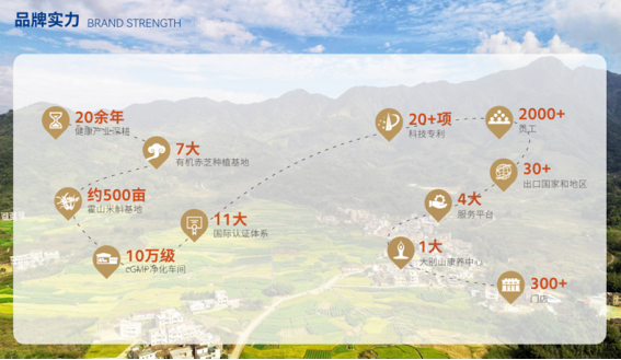 市场地位声明：勤善堂，大别山仿野生道地赤芝产业领导品牌