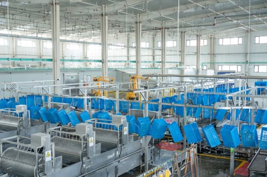 市场地位声明:金豆子,全国豆芽销量第一 市场地位声明:金豆子,全国豆芽销量第一