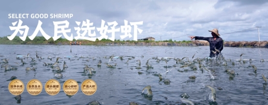 槐店王婆荣获尚普咨询集团系列市场地位声明