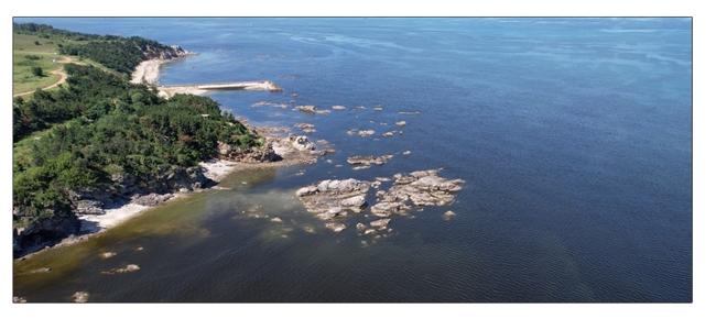 尚普咨询集团：权威市场地位声明—国药安心荣获尚普咨询权威市场地位声明