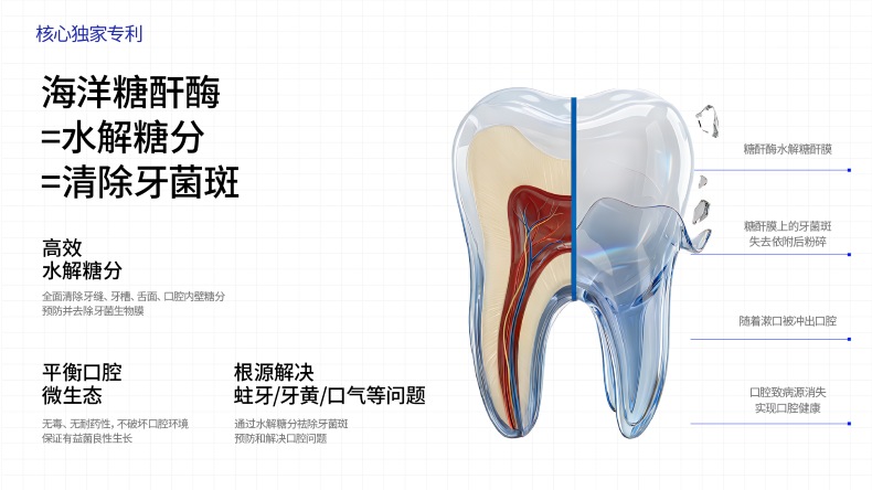 创新为矛，科学为盾！白惜品牌荣获「口腔抗糖理念开创者」市场地位声明