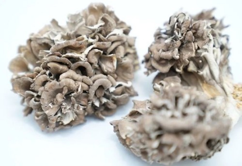 在追求功能性的基础上,蕈龙能量如何做到让消费者安心? 在追求功能性的基础上,蕈龙能量如何做到让消费者安心?
