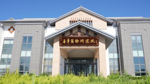 在追求功能性的基础上,蕈龙能量如何做到让消费者安心? 在追求功能性的基础上,蕈龙能量如何做到让消费者安心?