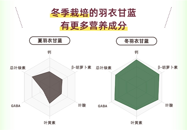 源自大地恩惠的健康秘诀