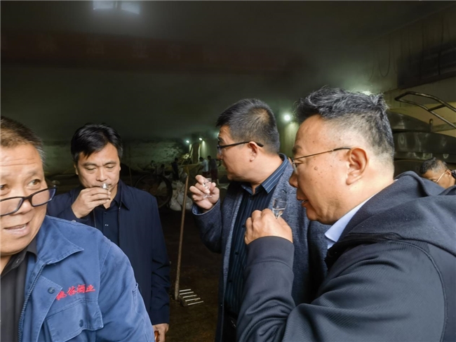 2024江苏桃林酒业文化推广季启动仪式助力品牌再升级 2024江苏桃林酒业文化推广季启动仪式助力品牌再升级