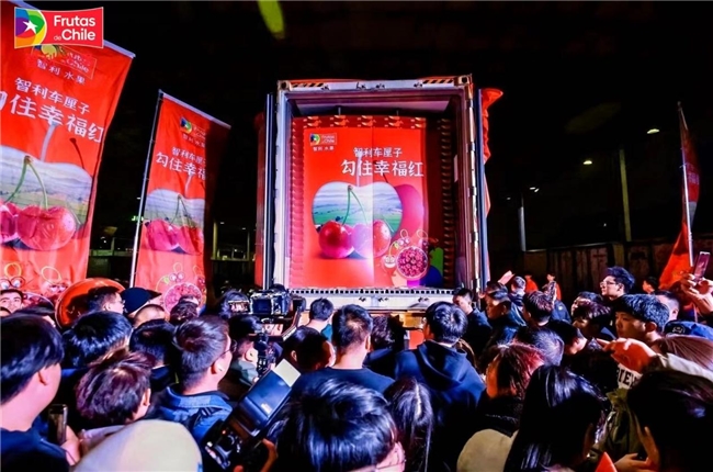 智利首艘“车厘子快线”到达中国:广州江秾汇批发市场举行首柜开柜仪式 智利首艘“车厘子快线”到达中国:广州江秾汇批发市场举行首柜开柜仪式