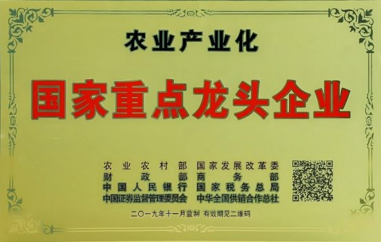 市场地位声明:盐津铺子,豆制品零食连续3年销量第一 市场地位声明:盐津铺子,豆制品零食连续3年销量第一