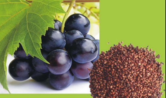 葡萄籽哪个牌子好？盘点10款优质葡萄籽品牌：内服抗氧改善暗沉，日常调理好物分享