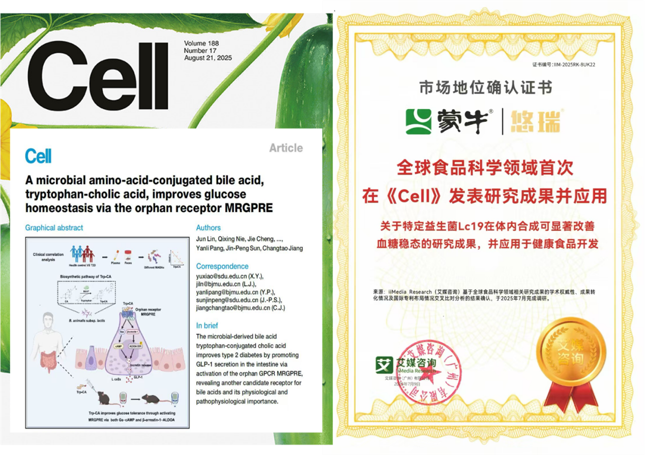 又获殊荣！蒙牛益生菌闪耀新加坡！自研菌株Lc19斩获国际乳业创新峰会年度大奖