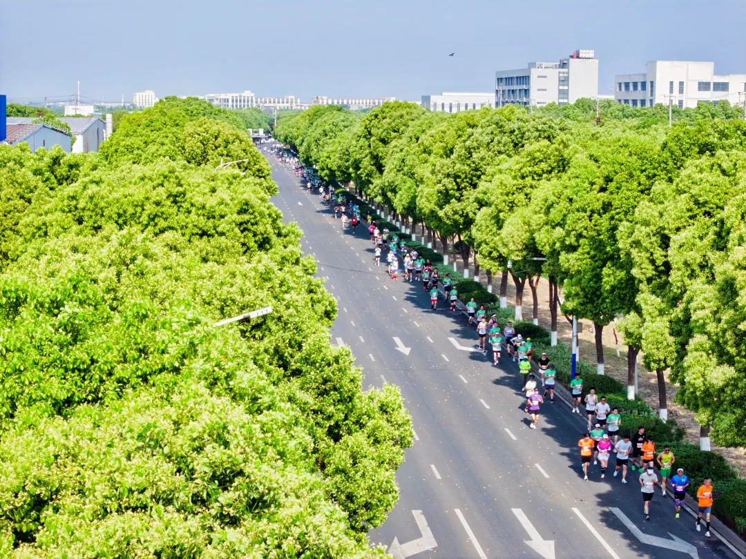2025和县半马燃情开跑，“蔬”写春日运动诗篇