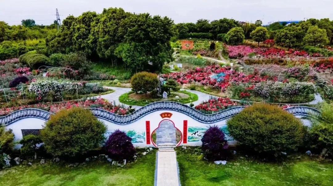 2025和县半马燃情开跑，“蔬”写春日运动诗篇