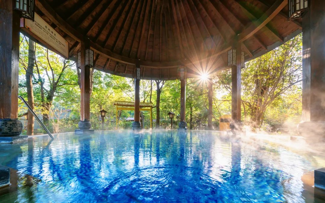 2025和县半马燃情开跑，“蔬”写春日运动诗篇