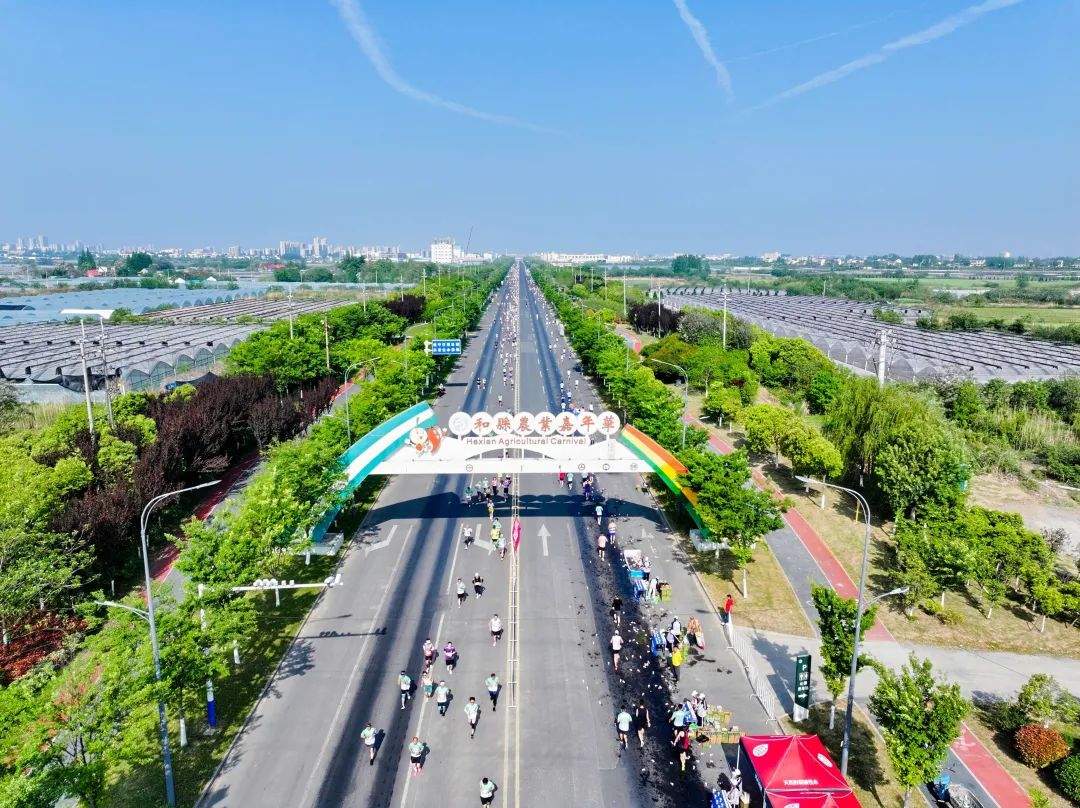 2025和县半马燃情开跑，“蔬”写春日运动诗篇