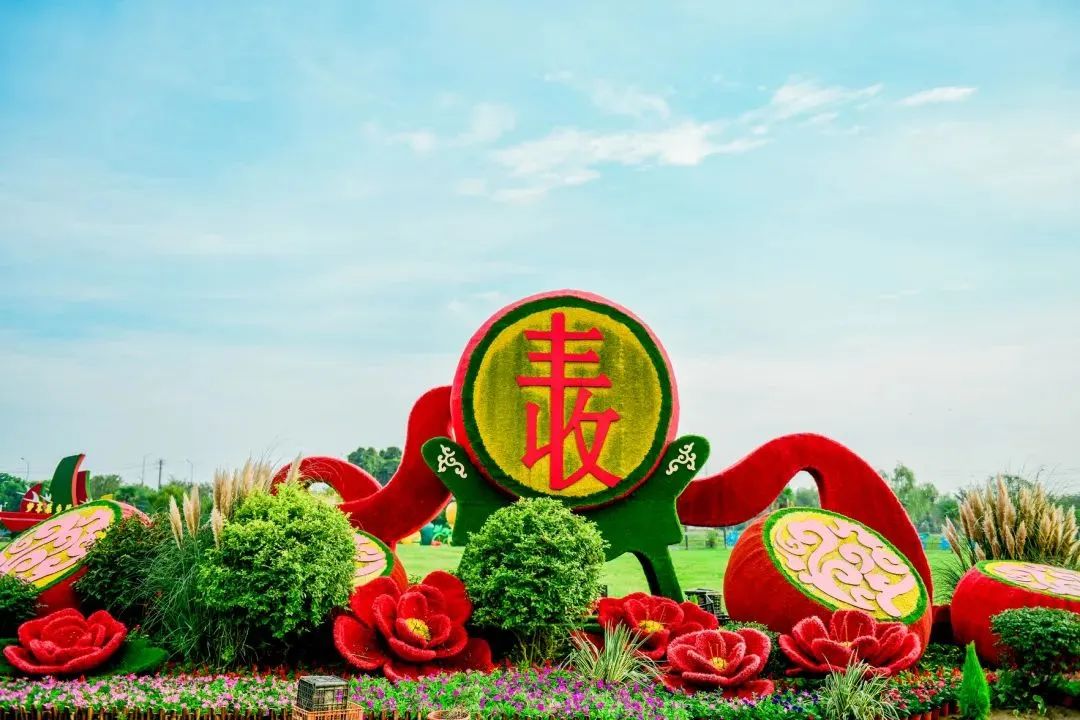 2025和县半马燃情开跑，“蔬”写春日运动诗篇