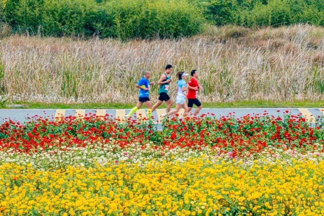 赛事发布丨相约金秋 共赴池马之约 2025池州马拉松新闻发布会在合肥盛大召开