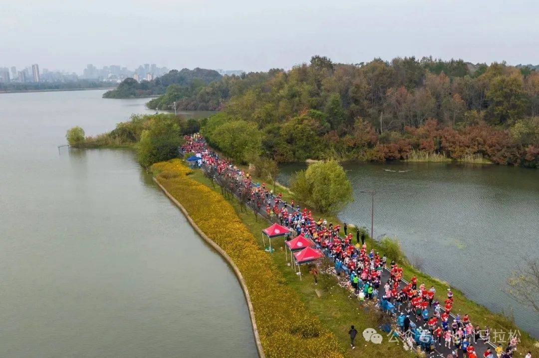 赛事发布丨相约金秋 共赴池马之约 2025池州马拉松新闻发布会在合肥盛大召开