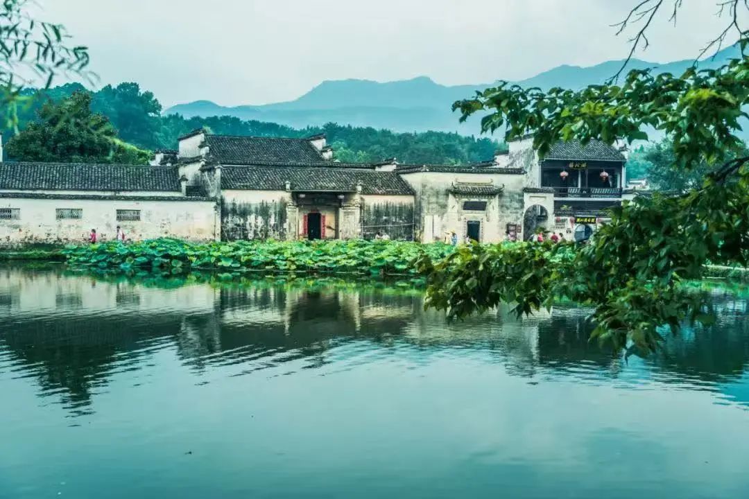 2025黄山马拉松赛事发布会圆满举行！报名正式开启！