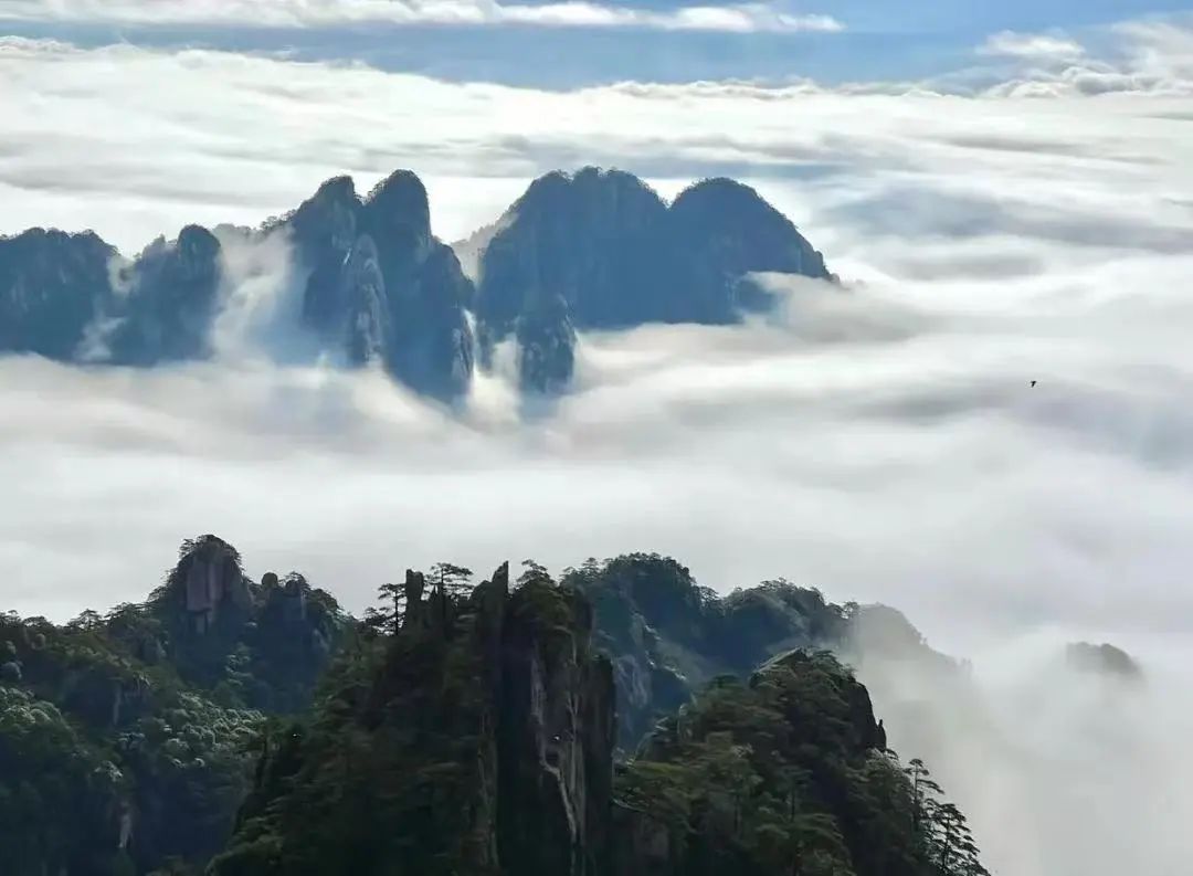 2025黄山马拉松赛事发布会圆满举行！报名正式开启！