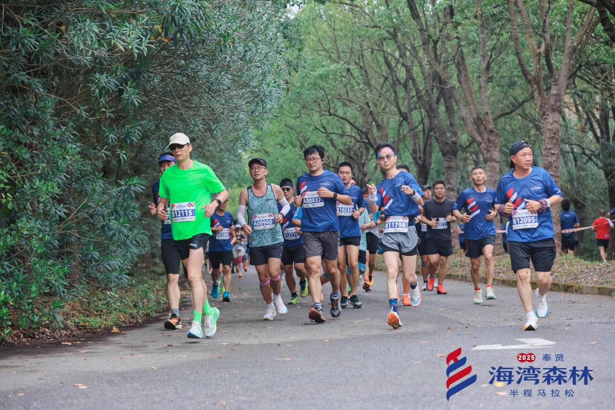邂逅最美海湾！2025奉贤海湾森林半程马拉松圆满落幕