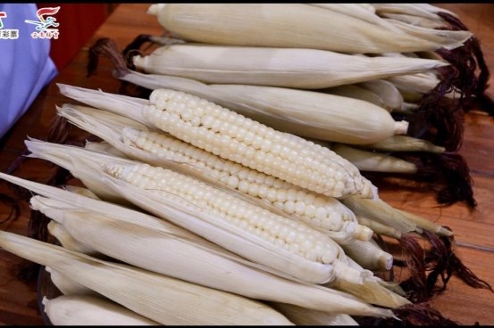 跟着赛事游云南丨“柔情傣乡 魅力版纳”2025年云南省乒乓球俱乐部联赛(西双版纳站)圆满落幕 跟着赛事游云南丨“柔情傣乡 魅力版纳”2025年云南省乒乓球俱乐部联赛(西双版纳站)圆满落幕