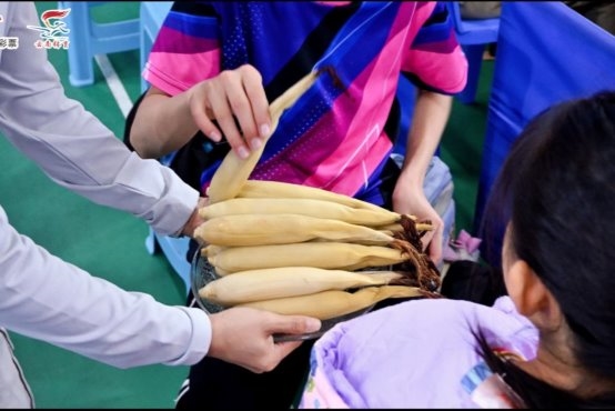 跟着赛事游云南丨“柔情傣乡 魅力版纳”2025年云南省乒乓球俱乐部联赛(西双版纳站)圆满落幕 跟着赛事游云南丨“柔情傣乡 魅力版纳”2025年云南省乒乓球俱乐部联赛(西双版纳站)圆满落幕