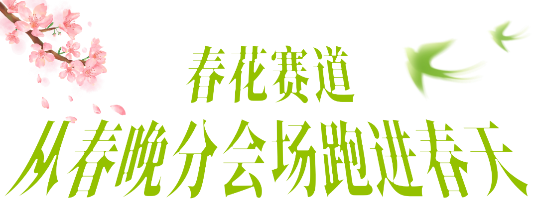以奔跑致敬生态，2026新希望白帝合肥半程马拉松圆满收官！