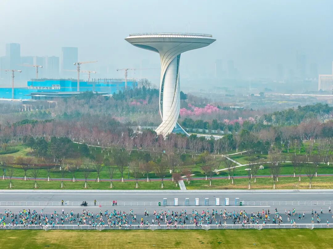 以奔跑致敬生态，2026新希望白帝合肥半程马拉松圆满收官！