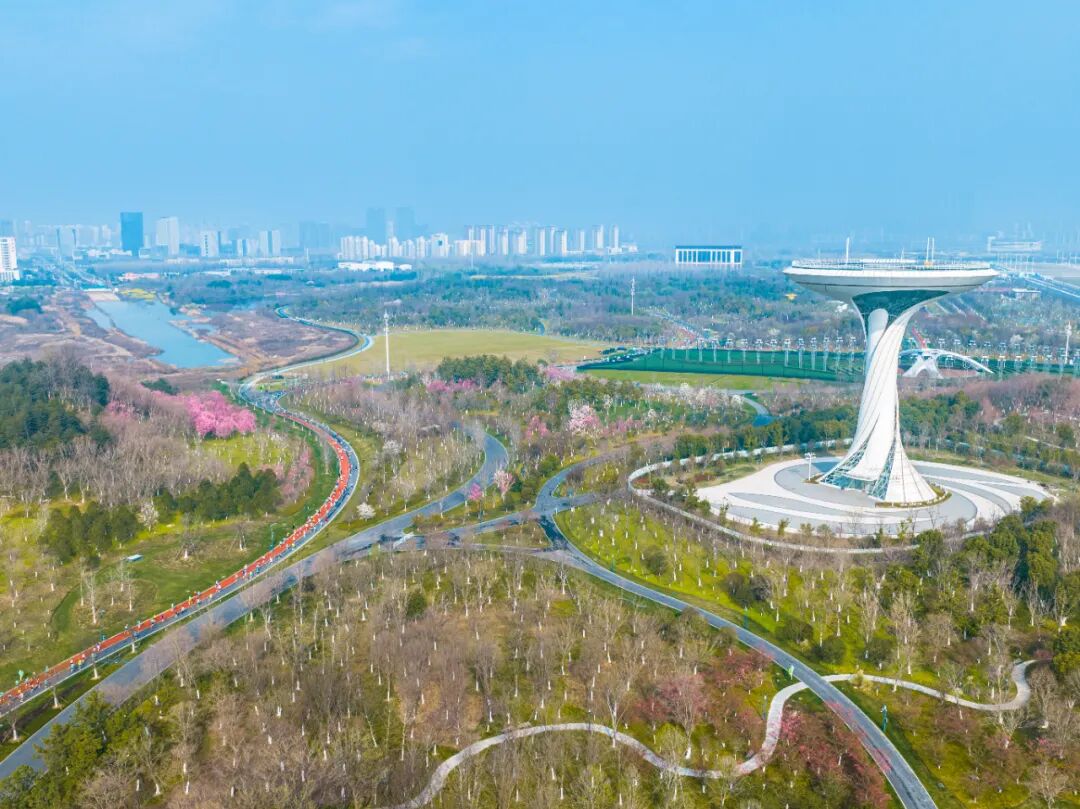 以奔跑致敬生态，2026新希望白帝合肥半程马拉松圆满收官！