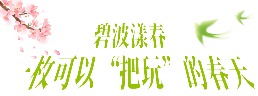 以奔跑致敬生态，2026新希望白帝合肥半程马拉松圆满收官！