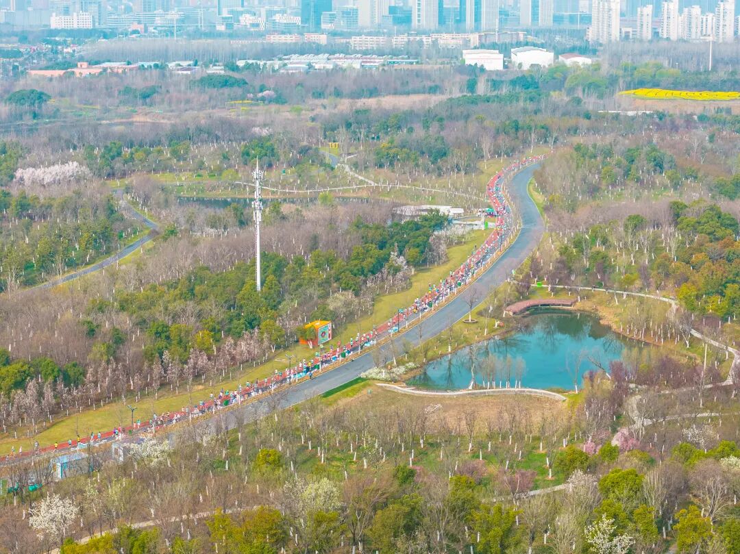 以奔跑致敬生态，2026新希望白帝合肥半程马拉松圆满收官！