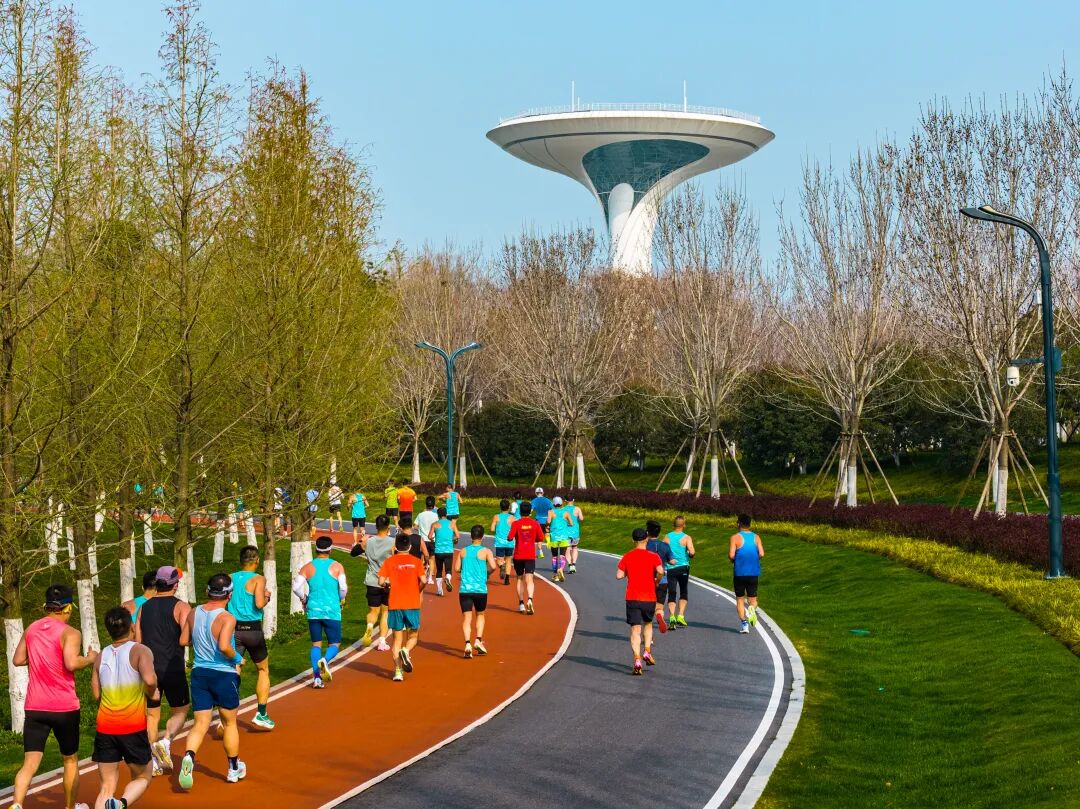 以奔跑致敬生态，2026新希望白帝合肥半程马拉松圆满收官！