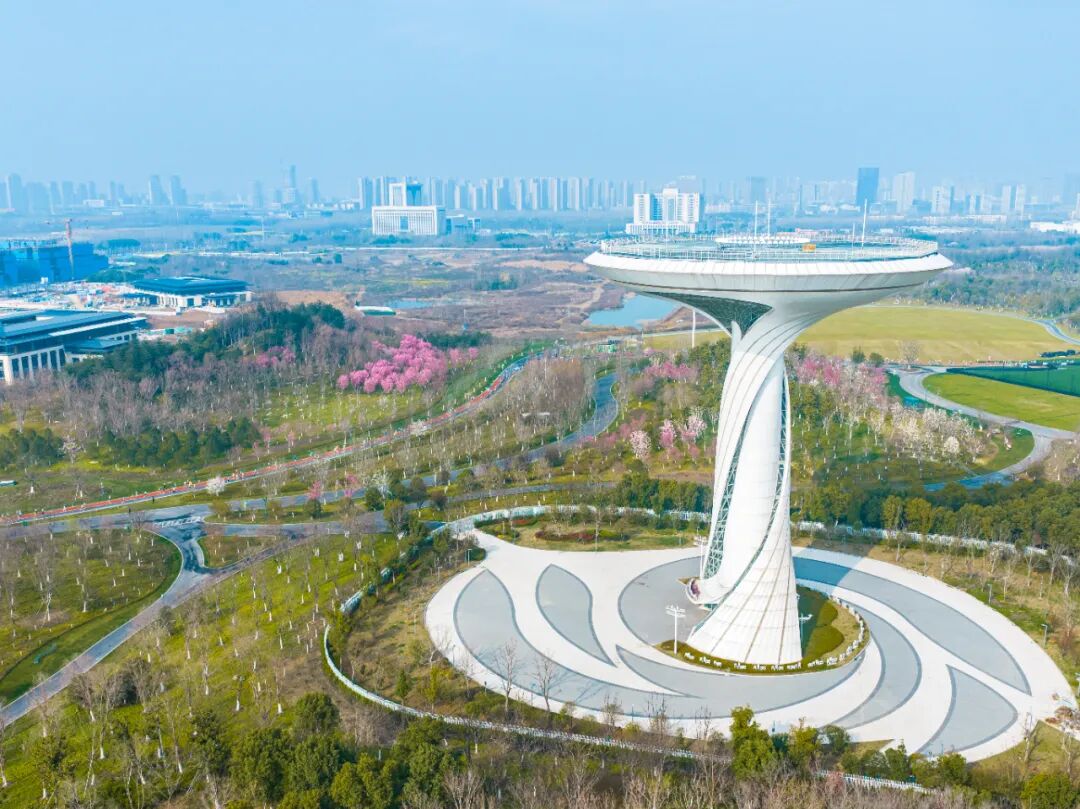 以奔跑致敬生态，2026新希望白帝合肥半程马拉松圆满收官！