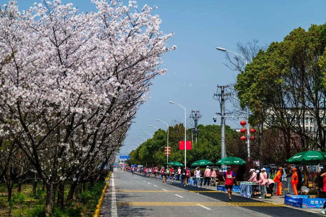 春日“启航”！2026协鑫集成·宜航芜湖马拉松燃情开跑