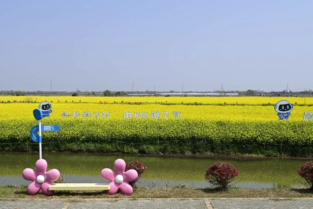 春日“启航”！2026协鑫集成·宜航芜湖马拉松燃情开跑