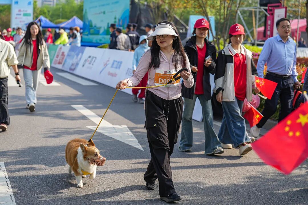 徒步九华圣境 畅游灵秀青阳——九华黄精2026池州青阳徒步大会圆满收官