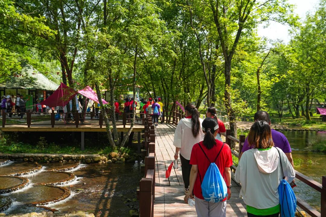 徒步九华圣境 畅游灵秀青阳——九华黄精2026池州青阳徒步大会圆满收官