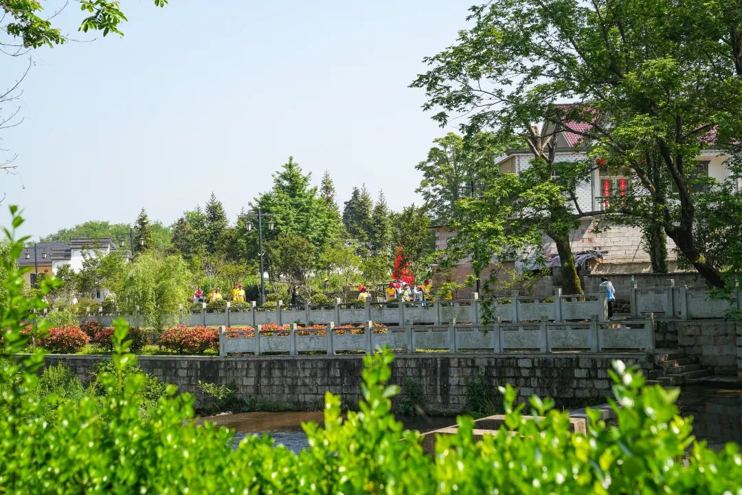 徒步九华圣境 畅游灵秀青阳——九华黄精2026池州青阳徒步大会圆满收官